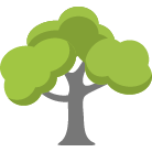 Menomonee Falls Tree Removal Service